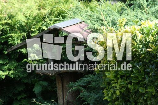 Vogelhaus.jpg